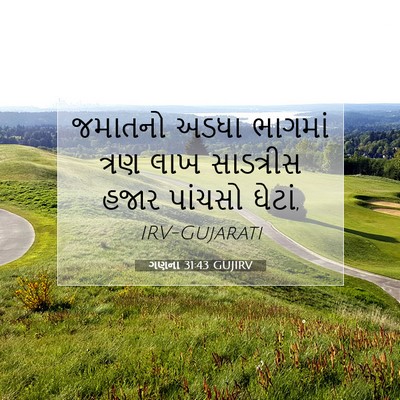 Picture 07 - ગણના 31:43 GUJIRV - જમાતનો અડધા - Bible Verse Picture
