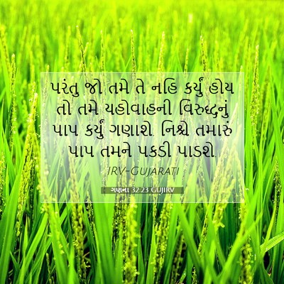 Picture 07 - ગણના 32:23 GUJIRV - પરંતુ જો તમે તે નહિ - Bible Verse Picture