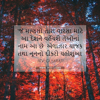 Picture 07 - ગણના 34:17 GUJIRV - “જે માણસો તારા - Bible Verse Picture