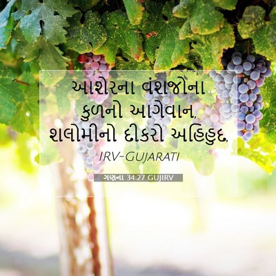 Picture 07 - ગણના 34:27 GUJIRV - આશેરના વંશજોના - Bible Verse Picture