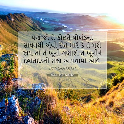 Picture 07 - ગણના 35:16 GUJIRV - પણ જો તે કોઈને - Bible Verse Picture