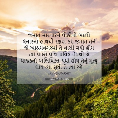 Picture 07 - ગણના 35:25 GUJIRV - જમાત મારનારને - Bible Verse Picture