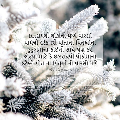 Picture 07 - ગણના 36:8 GUJIRV - ઇઝરાયલી લોકોની - Bible Verse Picture