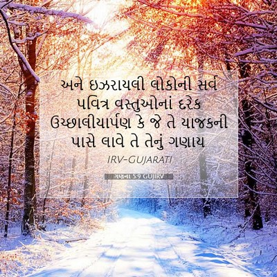 Picture 07 - ગણના 5:9 GUJIRV - અને ઇઝરાયલી - Bible Verse Picture