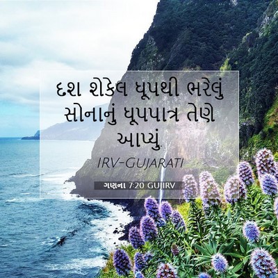 Picture 07 - ગણના 7:20 GUJIRV - દશ શેકેલ ધૂપથી - Bible Verse Picture