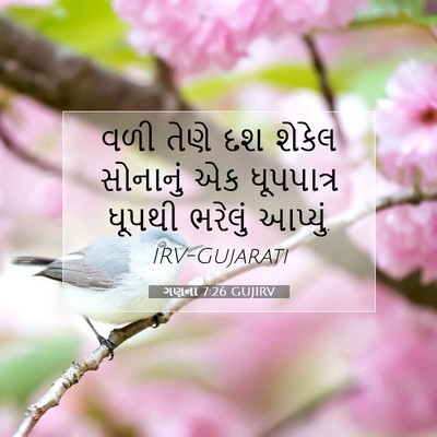 Picture 07 - ગણના 7:26 GUJIRV - વળી તેણે દશ શેકેલ - Bible Verse Picture