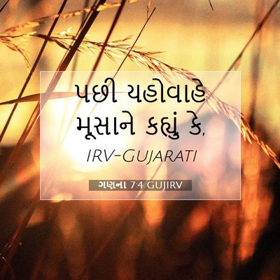 Picture 07 - ગણના 7:4 GUJIRV - પછી યહોવાહે - Bible Verse Picture