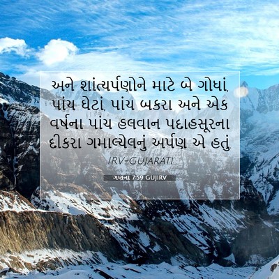 Picture 07 - ગણના 7:59 GUJIRV - અને શાંત્યર્પણોને - Bible Verse Picture