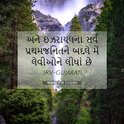 Picture 07 - ગણના 8:18 GUJIRV - અને ઇઝરાયલના સર્વ - Bible Verse Picture