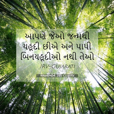 Picture 07 - ગલાતીઓને 2:15 GUJIRV - આપણે જેઓ જન્મથી - Bible Verse Picture