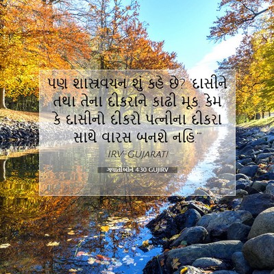 Picture 07 - ગલાતીઓને 4:30 GUJIRV - પણ શાસ્ત્રવચન શું - Bible Verse Picture