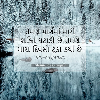 Picture 07 - ગીતશાસ્ત્ર 102:23 GUJIRV - તેમણે માર્ગમાં - Bible Verse Picture
