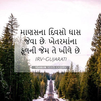 Picture 07 - ગીતશાસ્ત્ર 103:15 GUJIRV - માણસના દિવસો ઘાસ - Bible Verse Picture