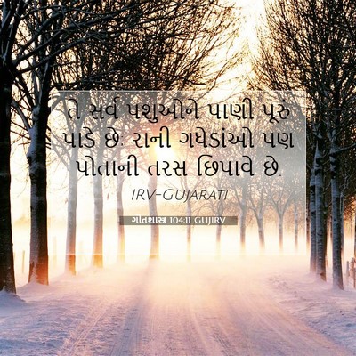 Picture 07 - ગીતશાસ્ત્ર 104:11 GUJIRV - તે સર્વ પશુઓને - Bible Verse Picture