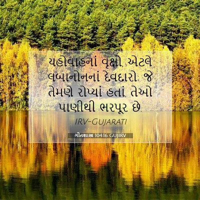 Picture 07 - ગીતશાસ્ત્ર 104:16 GUJIRV - યહોવાહનાં વૃક્ષો, - Bible Verse Picture