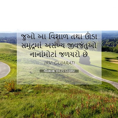 Picture 07 - ગીતશાસ્ત્ર 104:25 GUJIRV - જુઓ આ વિશાળ તથા - Bible Verse Picture