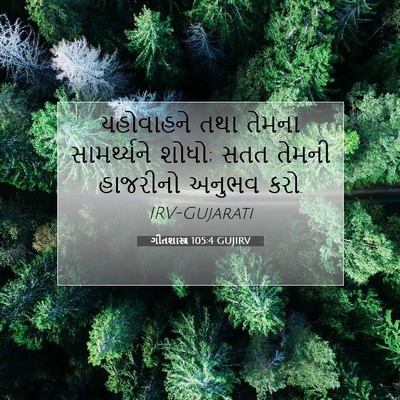 Picture 07 - ગીતશાસ્ત્ર 105:4 GUJIRV - યહોવાહને તથા - Bible Verse Picture