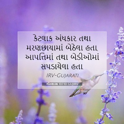 Picture 07 - ગીતશાસ્ત્ર 107:10 GUJIRV - કેટલાક અંધકાર તથા - Bible Verse Picture