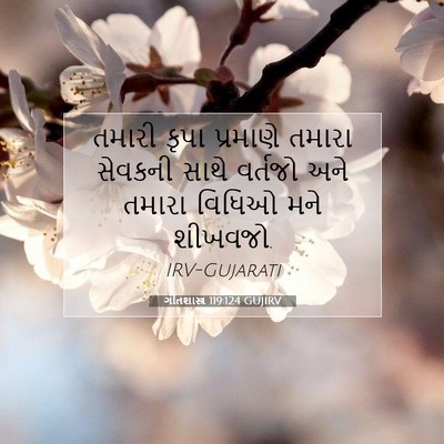 Picture 07 - ગીતશાસ્ત્ર 119:124 GUJIRV - તમારી કૃપા - Bible Verse Picture