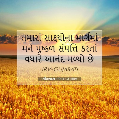 Picture 07 - ગીતશાસ્ત્ર 119:14 GUJIRV - તમારાં સાક્ષ્યોના - Bible Verse Picture