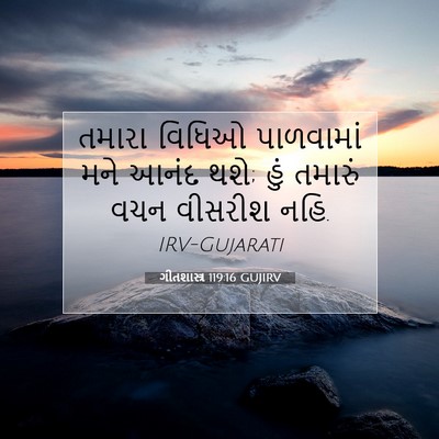 Picture 07 - ગીતશાસ્ત્ર 119:16 GUJIRV - તમારા વિધિઓ - Bible Verse Picture