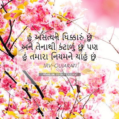 Picture 07 - ગીતશાસ્ત્ર 119:163 GUJIRV - હું અસત્યને - Bible Verse Picture