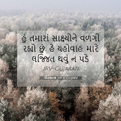 Picture 07 - ગીતશાસ્ત્ર 119:31 GUJIRV - હું તમારાં - Bible Verse Picture