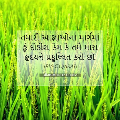 Picture 07 - ગીતશાસ્ત્ર 119:32 GUJIRV - તમારી આજ્ઞાઓના - Bible Verse Picture