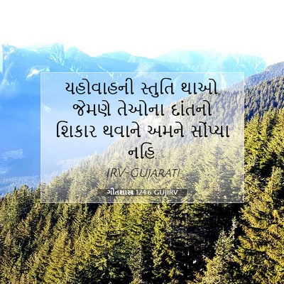 Picture 07 - ગીતશાસ્ત્ર 124:6 GUJIRV - યહોવાહની સ્તુતિ - Bible Verse Picture