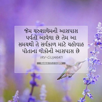 Picture 07 - ગીતશાસ્ત્ર 125:2 GUJIRV - જેમ યરુશાલેમની - Bible Verse Picture
