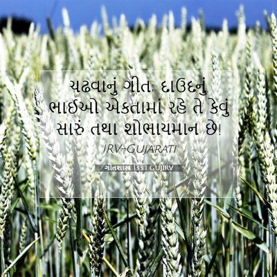 Picture 07 - ગીતશાસ્ત્ર 133:1 GUJIRV - ચઢવાનું ગીત; - Bible Verse Picture