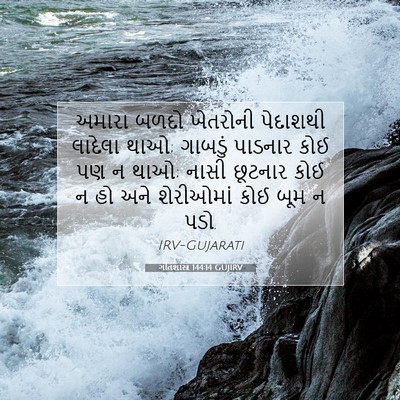 Picture 07 - ગીતશાસ્ત્ર 144:14 GUJIRV - અમારા બળદો - Bible Verse Picture