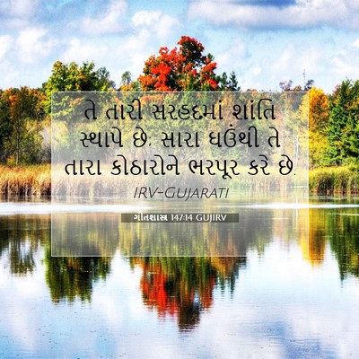 Picture 07 - ગીતશાસ્ત્ર 147:14 GUJIRV - તે તારી સરહદમાં - Bible Verse Picture
