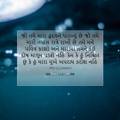 Picture 07 - ગીતશાસ્ત્ર 17:3 GUJIRV - જો તમે મારા હૃદયને - Bible Verse Picture