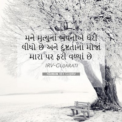 Picture 07 - ગીતશાસ્ત્ર 18:4 GUJIRV - મને મૃત્યુનાં - Bible Verse Picture