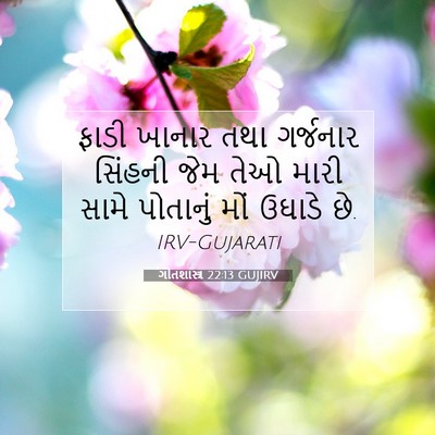 Picture 07 - ગીતશાસ્ત્ર 22:13 GUJIRV - ફાડી ખાનાર તથા - Bible Verse Picture