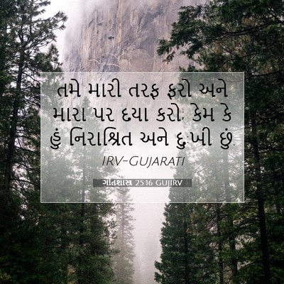 Picture 07 - ગીતશાસ્ત્ર 25:16 GUJIRV - તમે મારી તરફ ફરો - Bible Verse Picture