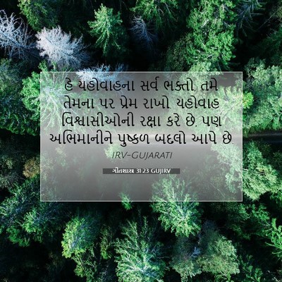 Picture 07 - ગીતશાસ્ત્ર 31:23 GUJIRV - હે યહોવાહના સર્વ - Bible Verse Picture