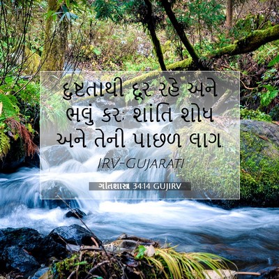 Picture 07 - ગીતશાસ્ત્ર 34:14 GUJIRV - દુષ્ટતાથી દૂર રહે - Bible Verse Picture