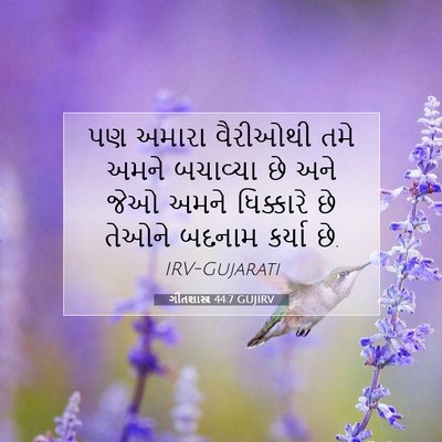 Picture 07 - ગીતશાસ્ત્ર 44:7 GUJIRV - પણ અમારા વૈરીઓથી - Bible Verse Picture