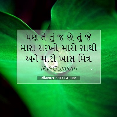 Picture 07 - ગીતશાસ્ત્ર 55:13 GUJIRV - પણ તે તું જ છે, તું - Bible Verse Picture