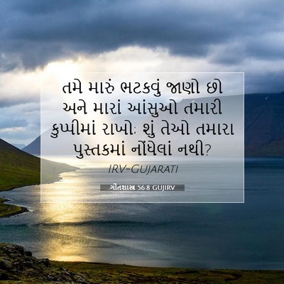 Picture 07 - ગીતશાસ્ત્ર 56:8 GUJIRV - તમે મારું ભટકવું - Bible Verse Picture