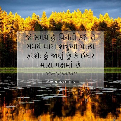 Picture 07 - ગીતશાસ્ત્ર 56:9 GUJIRV - જે સમયે હું વિનંતી - Bible Verse Picture