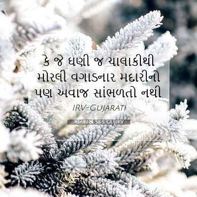 Picture 07 - ગીતશાસ્ત્ર 58:5 GUJIRV - કે જે ઘણી જ - Bible Verse Picture