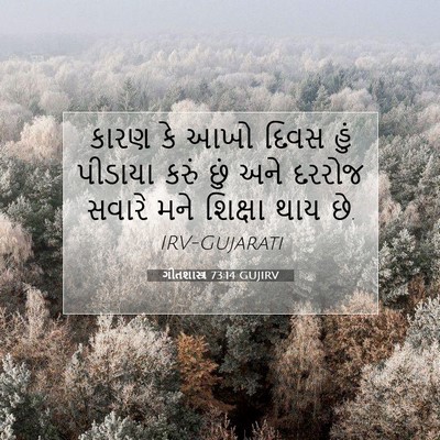 Picture 07 - ગીતશાસ્ત્ર 73:14 GUJIRV - કારણ કે આખો દિવસ - Bible Verse Picture
