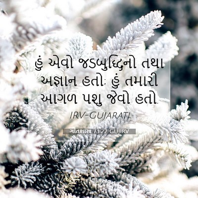 Picture 07 - ગીતશાસ્ત્ર 73:22 GUJIRV - હું એવો - Bible Verse Picture