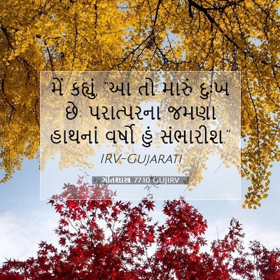 Picture 07 - ગીતશાસ્ત્ર 77:10 GUJIRV - મેં કહ્યું, “આ તો - Bible Verse Picture