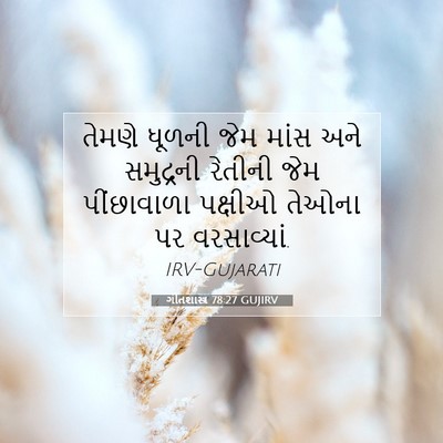 Picture 07 - ગીતશાસ્ત્ર 78:27 GUJIRV - તેમણે ધૂળની જેમ - Bible Verse Picture