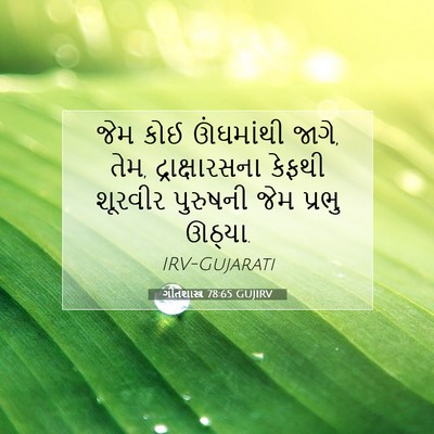 Picture 07 - ગીતશાસ્ત્ર 78:65 GUJIRV - જેમ કોઈ ઊંઘમાંથી - Bible Verse Picture