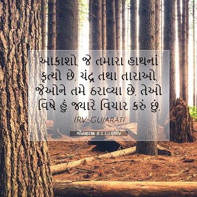 Picture 07 - ગીતશાસ્ત્ર 8:3 GUJIRV - આકાશો, જે તમારા - Bible Verse Picture